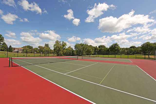 10500 Chestnut Circle N, Champlin, MN 55316