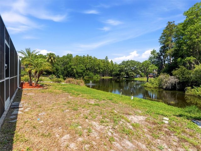 6640 WINDING OAK DRIVE, Tampa, FL 33625