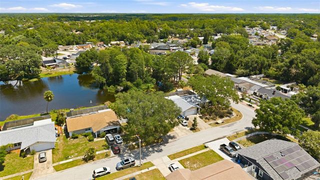 6640 WINDING OAK DRIVE, Tampa, FL 33625