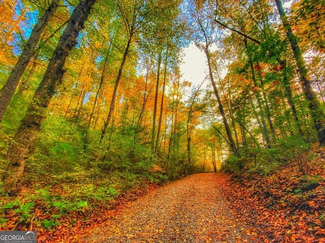 500 Big Sky Trail, Dahlonega, GA 30533
