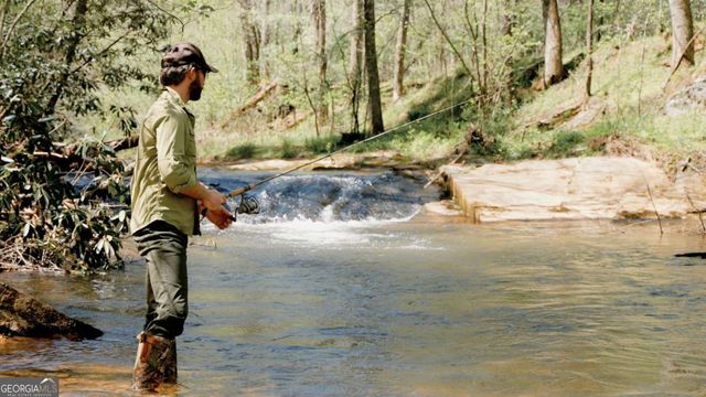 500 Big Sky Trail, Dahlonega, GA 30533