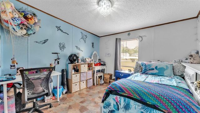 6715 DOVE MEADOW TRAIL, Lakeland, FL 33810