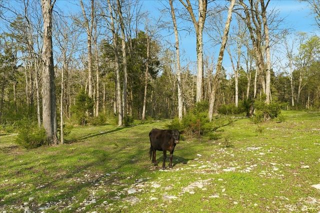 205 Sherrilltown Rd, Watertown, TN 37184