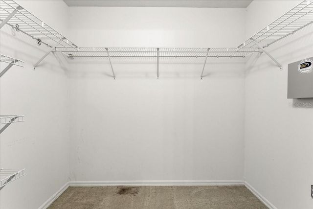 10615 FOXCREST WAY, Riverview, FL 33569