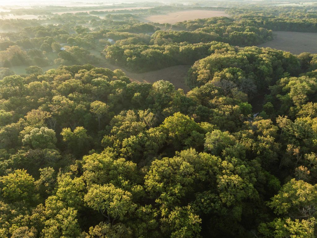 12357 SW Tawakoni Rd