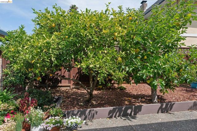 904 View Drive, Richmond, CA 94803