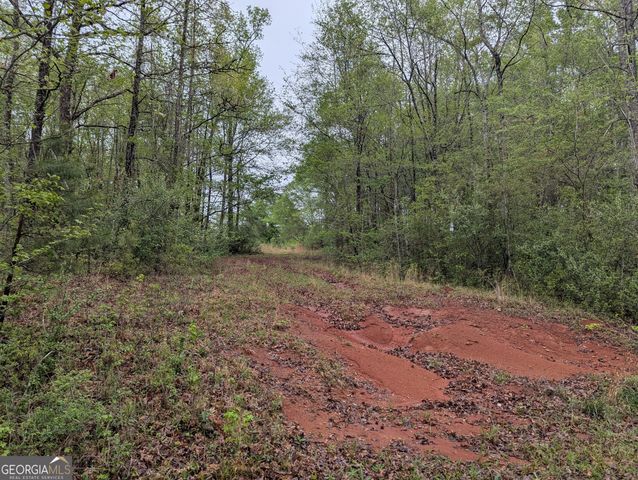 0 Fischer Spur Road, Newnan, GA 30265