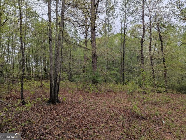 0 Fischer Spur Road, Newnan, GA 30265