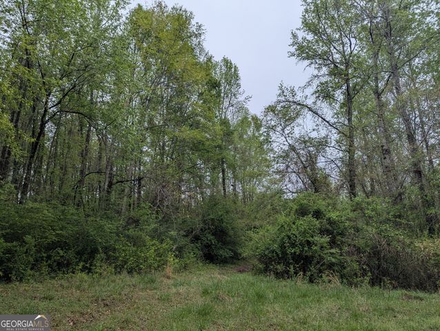 0 Fischer Spur Road, Newnan, GA 30265