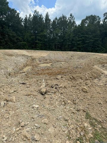 20182 La Hwy 10, Kentwood, LA 70444