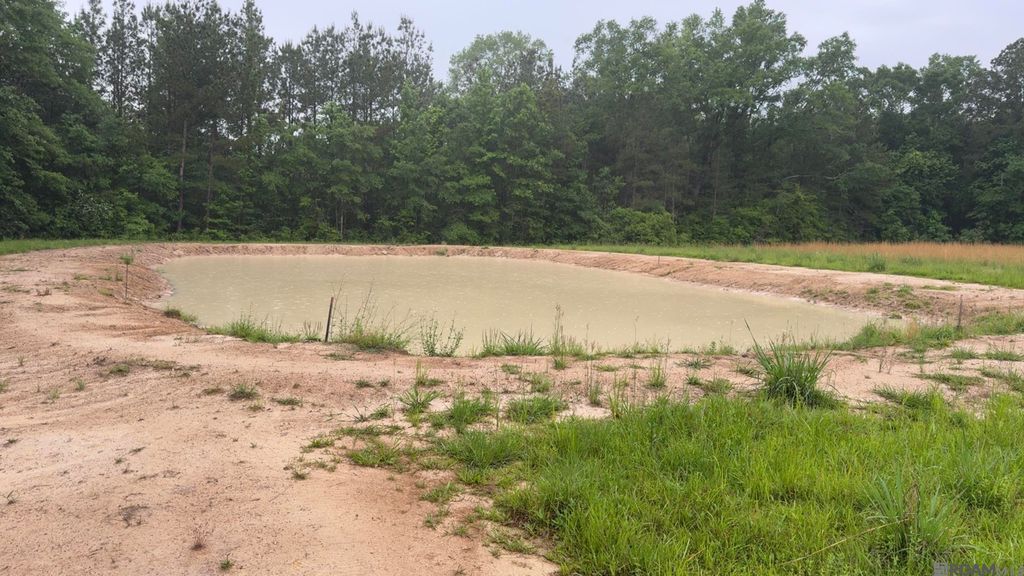 20182 La Hwy 10, Kentwood, LA 70444