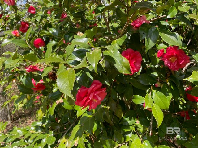 485 Norwood Road, Monroeville, AL 36460