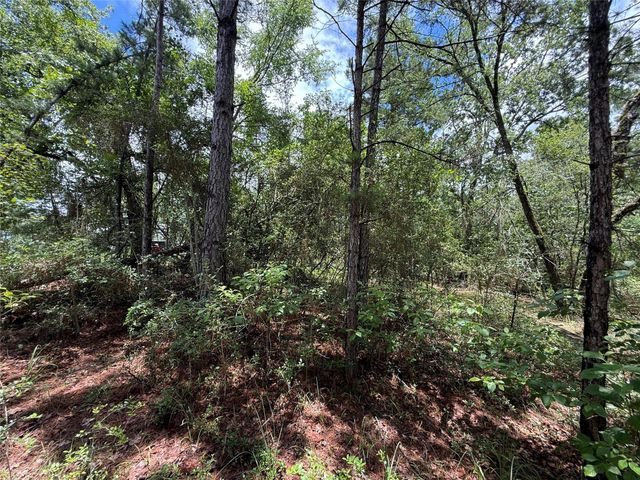 TBD Arrow Head Lot 269 Lane, Huntsville, TX 77320