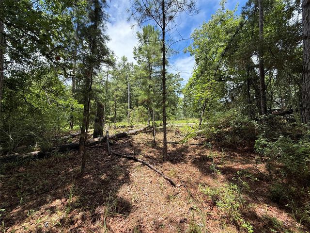 TBD Arrow Head Lot 269 Lane, Huntsville, TX 77320