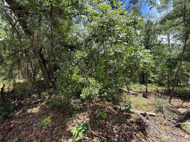 TBD Arrow Head Lot 269 Lane, Huntsville, TX 77320