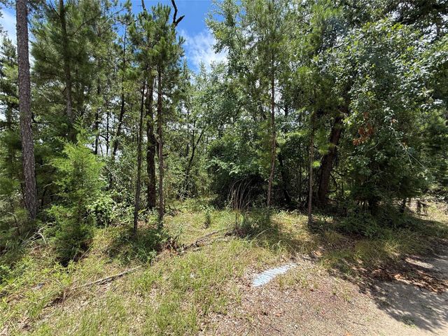 TBD Arrow Head Lot 269 Lane, Huntsville, TX 77320