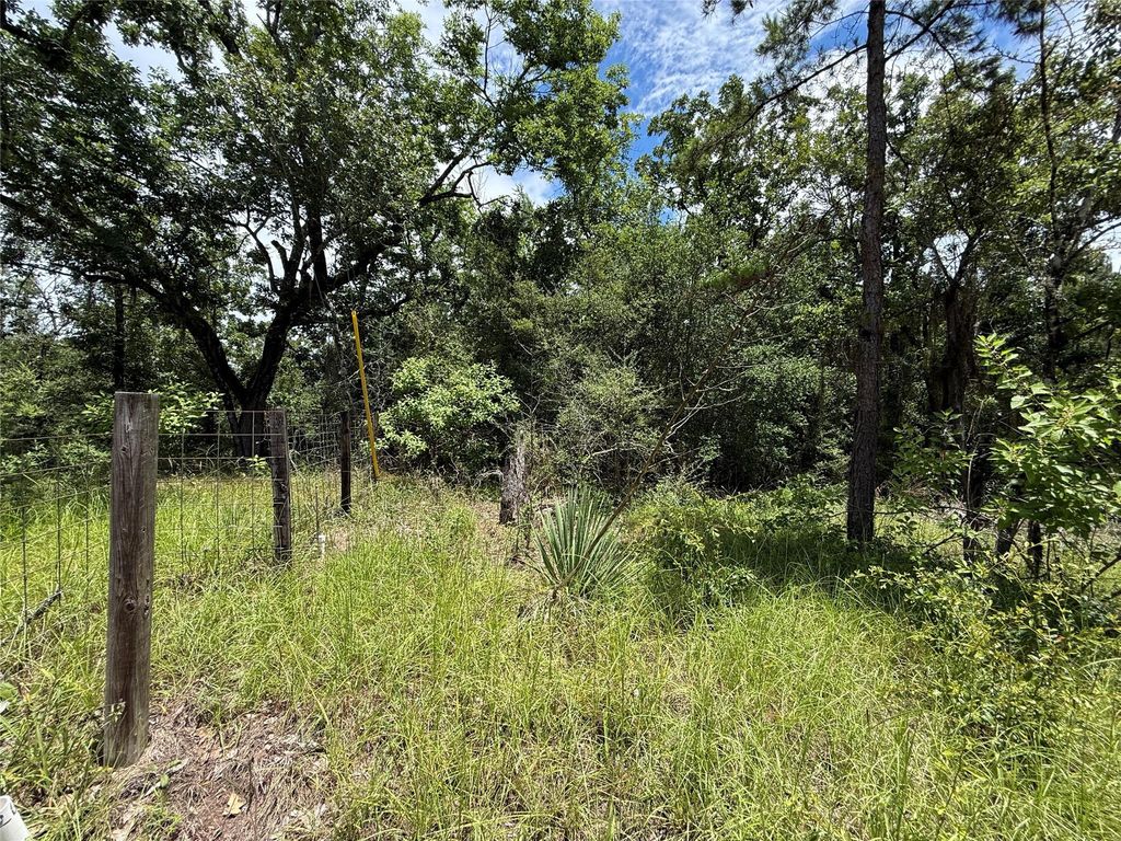 TBD Arrow Head Lot 269 Lane, Huntsville, TX 77320