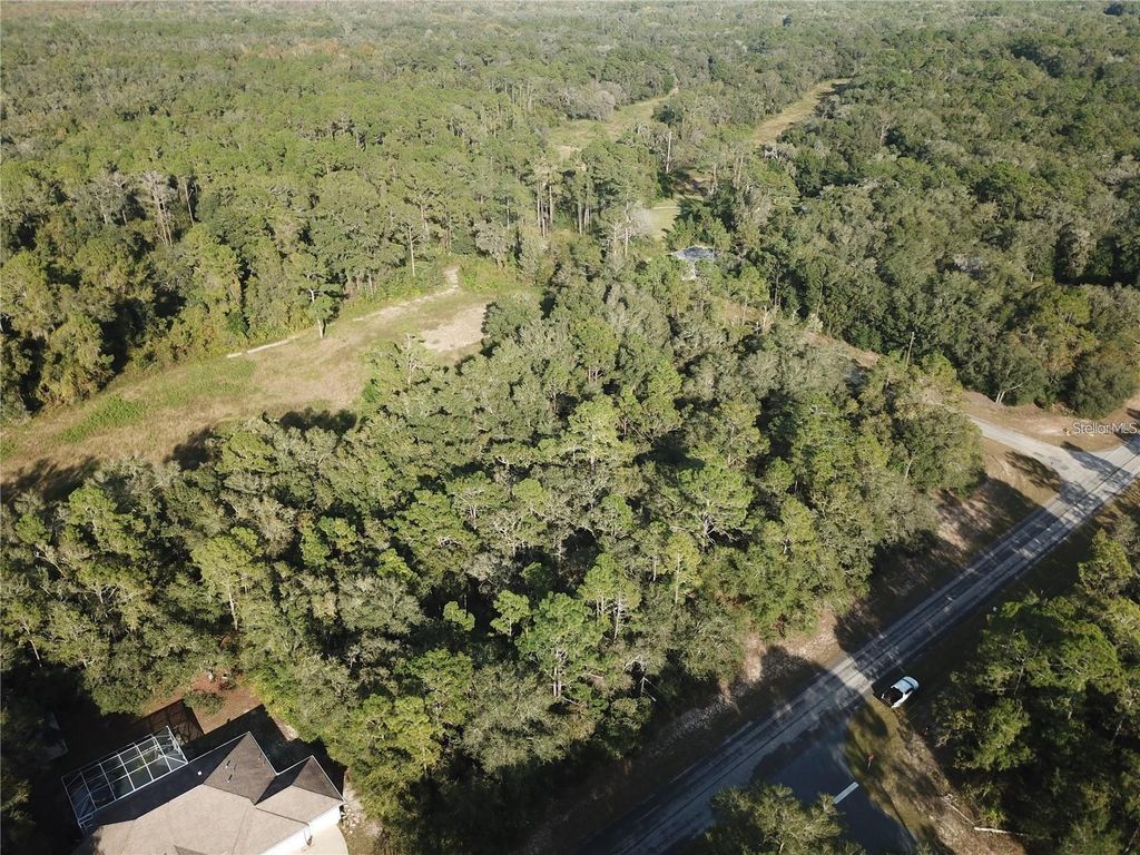 10265 N ATHENIA DRIVE, Citrus Springs, FL 34434