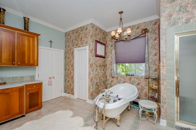 14026 Dogwood Trace, St Francisville, LA 70775