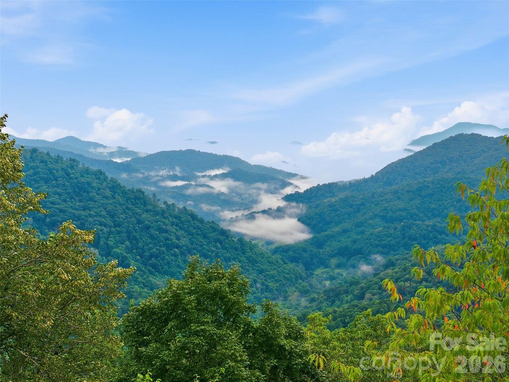 Lot 50 Running Cedar Drive, Mars Hill, NC 28754