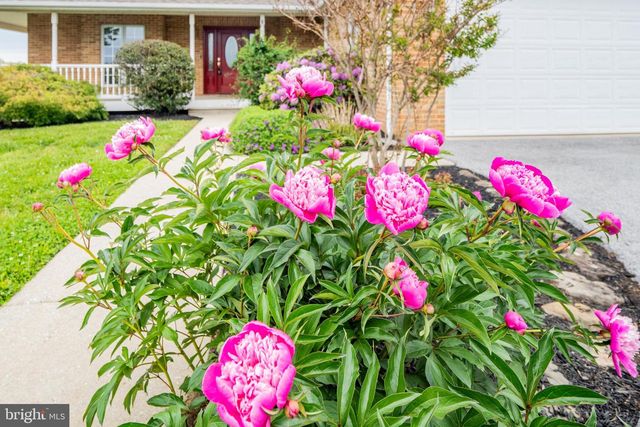378 PLANKWOOD DR, Westminster, MD 21158