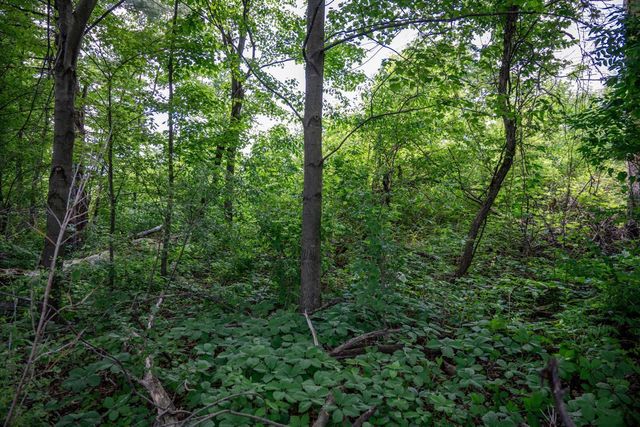 N6927 Schroeder Road, New Lisbon, WI 53950