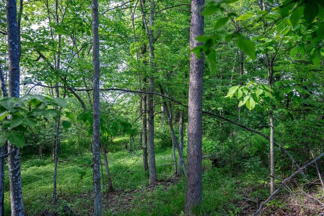 N6927 Schroeder Road, New Lisbon, WI 53950