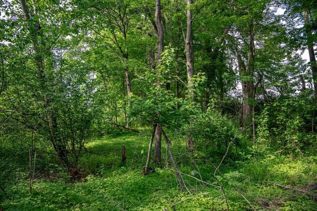 N6927 Schroeder Road, New Lisbon, WI 53950