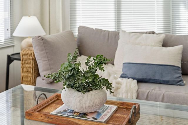 4406 RIVER OVERLOOK DRIVE, Valrico, FL 33596