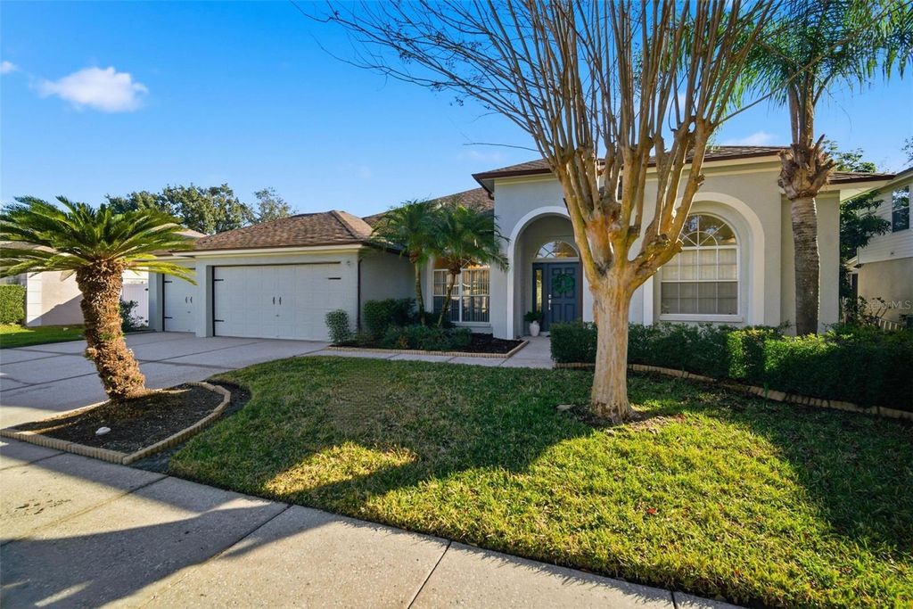 4406 RIVER OVERLOOK DRIVE, Valrico, FL 33596