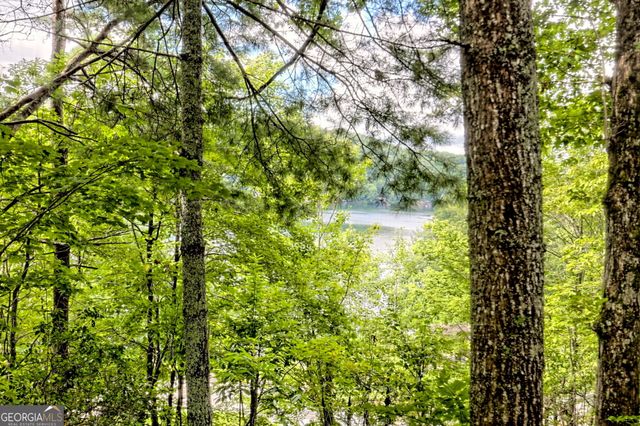 188 Magnolia Place Trail, Clayton, GA 30525