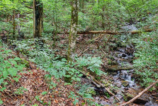 306 Choestoe Lane, Blairsville, GA 30512
