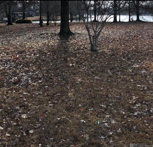 Lot 121B Betti Helen Pl, Baton Rouge, LA 70809
