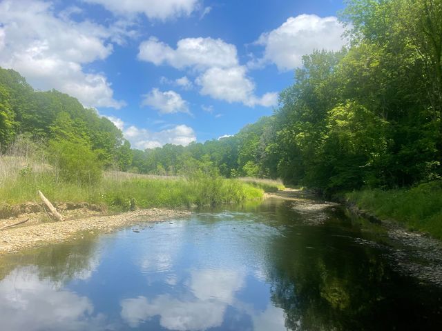 61 Acres JW Harris Road, Russell Springs, KY 42642