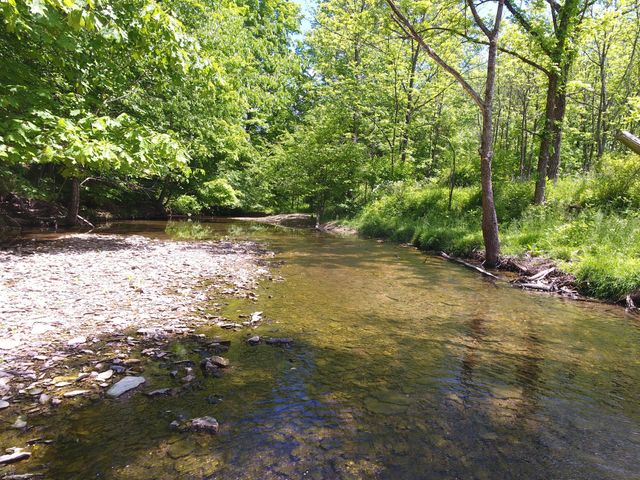 61 Acres JW Harris Road, Russell Springs, KY 42642