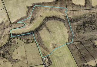 61 Acres JW Harris Road, Russell Springs, KY 42642