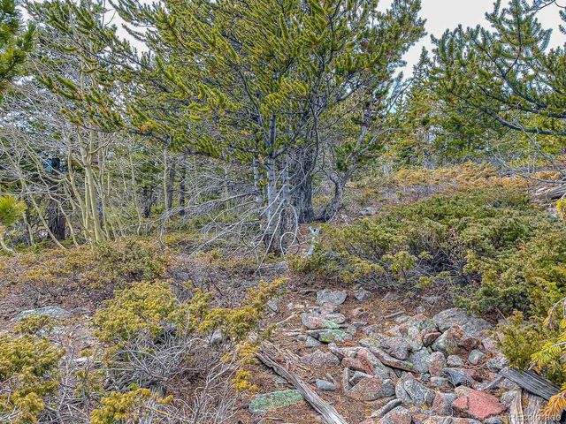 111 Hilltop Rd, Idaho Springs, CO 80452