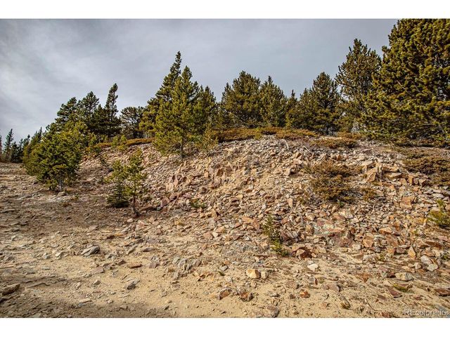 111 Hilltop Rd, Idaho Springs, CO 80452