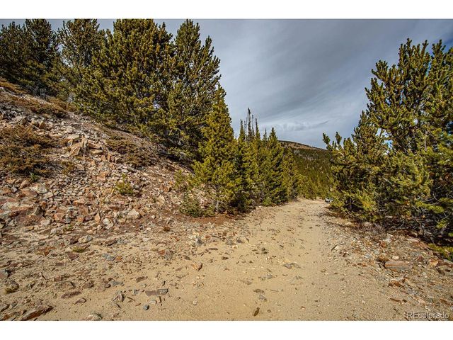 111 Hilltop Rd, Idaho Springs, CO 80452