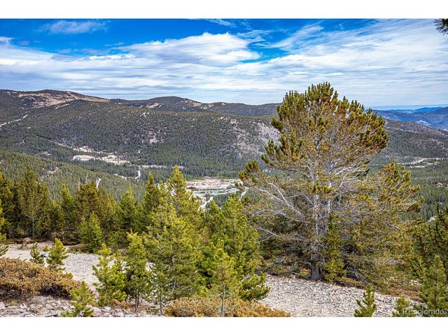 111 Hilltop Rd, Idaho Springs, CO 80452