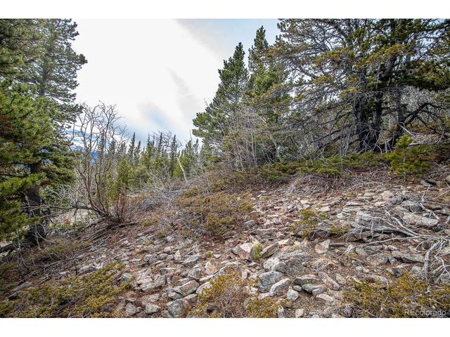 111 Hilltop Rd, Idaho Springs, CO 80452