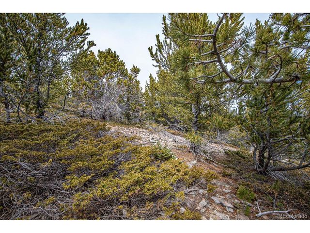 111 Hilltop Rd, Idaho Springs, CO 80452