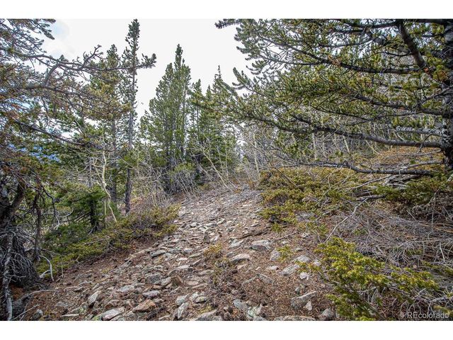 111 Hilltop Rd, Idaho Springs, CO 80452