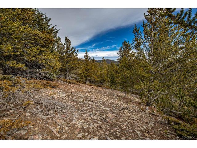 111 Hilltop Rd, Idaho Springs, CO 80452