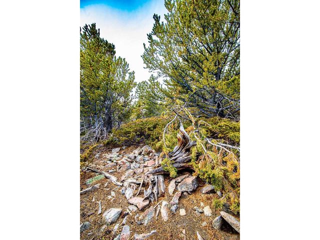 111 Hilltop Rd, Idaho Springs, CO 80452