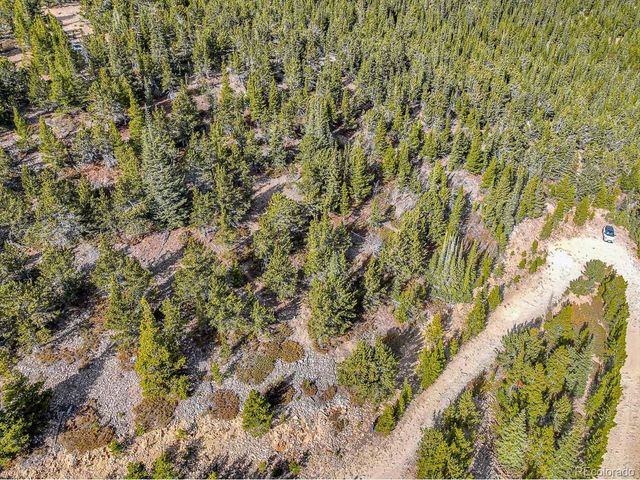 111 Hilltop Rd, Idaho Springs, CO 80452