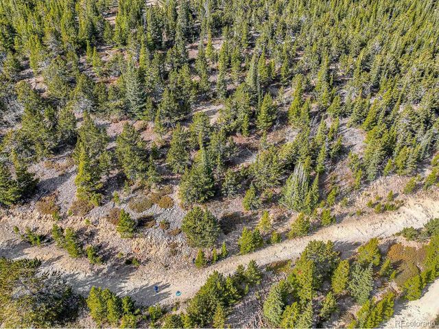 111 Hilltop Rd, Idaho Springs, CO 80452