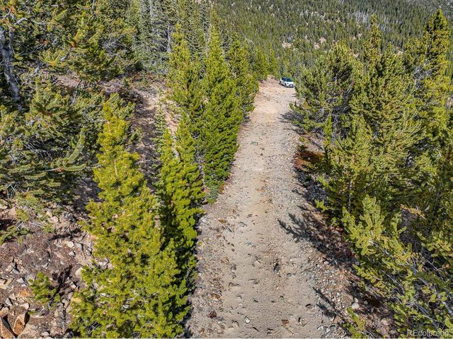 111 Hilltop Rd, Idaho Springs, CO 80452