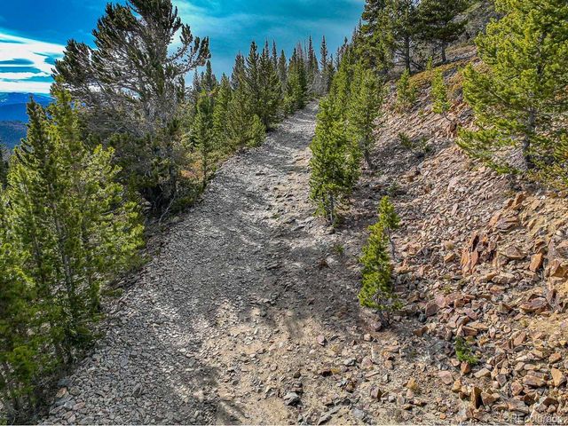 111 Hilltop Rd, Idaho Springs, CO 80452