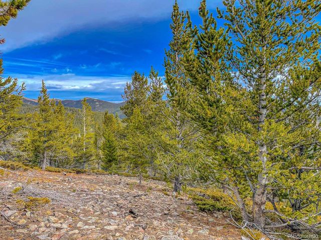 111 Hilltop Rd, Idaho Springs, CO 80452